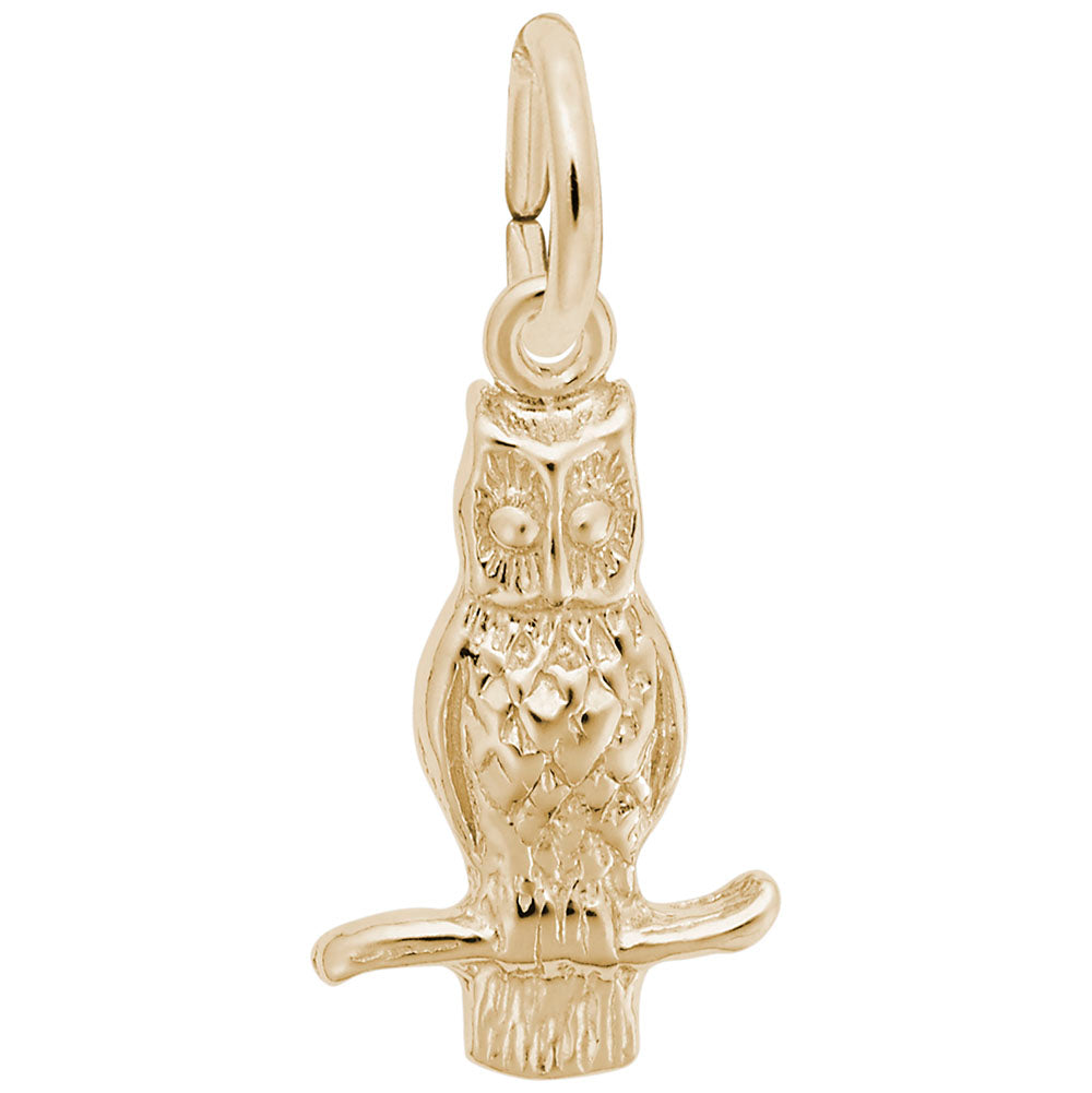 10kt or 14kt Owl Charm #0360