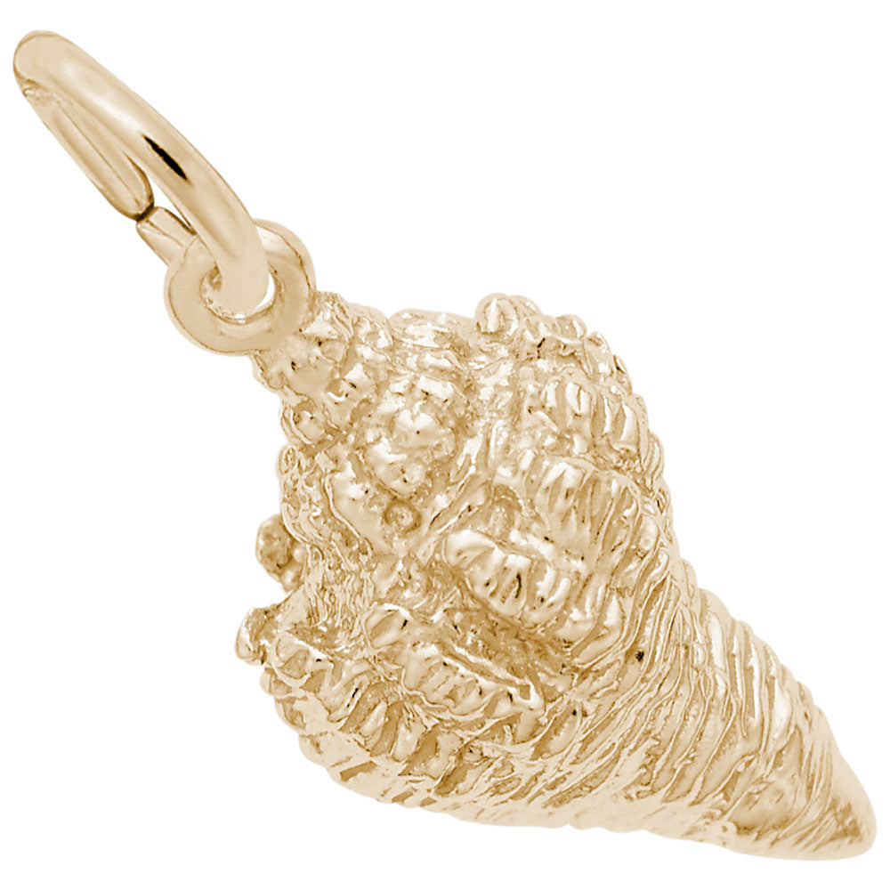 10kt Yellow Gold Shell Charm #2086