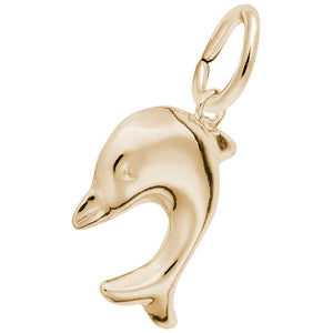 10kt Yellow Gold Dolphin Charm #2295