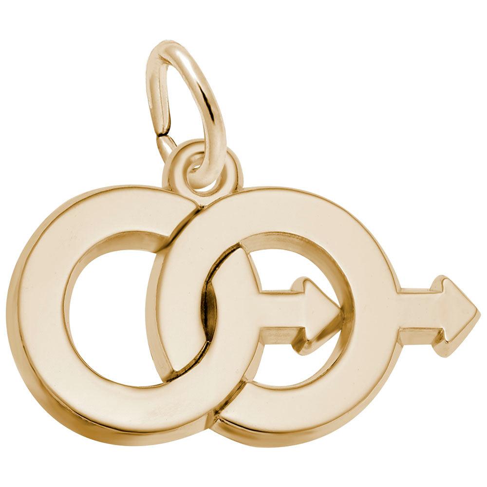 10kt Yellow Gold Male Twins Charm #3052