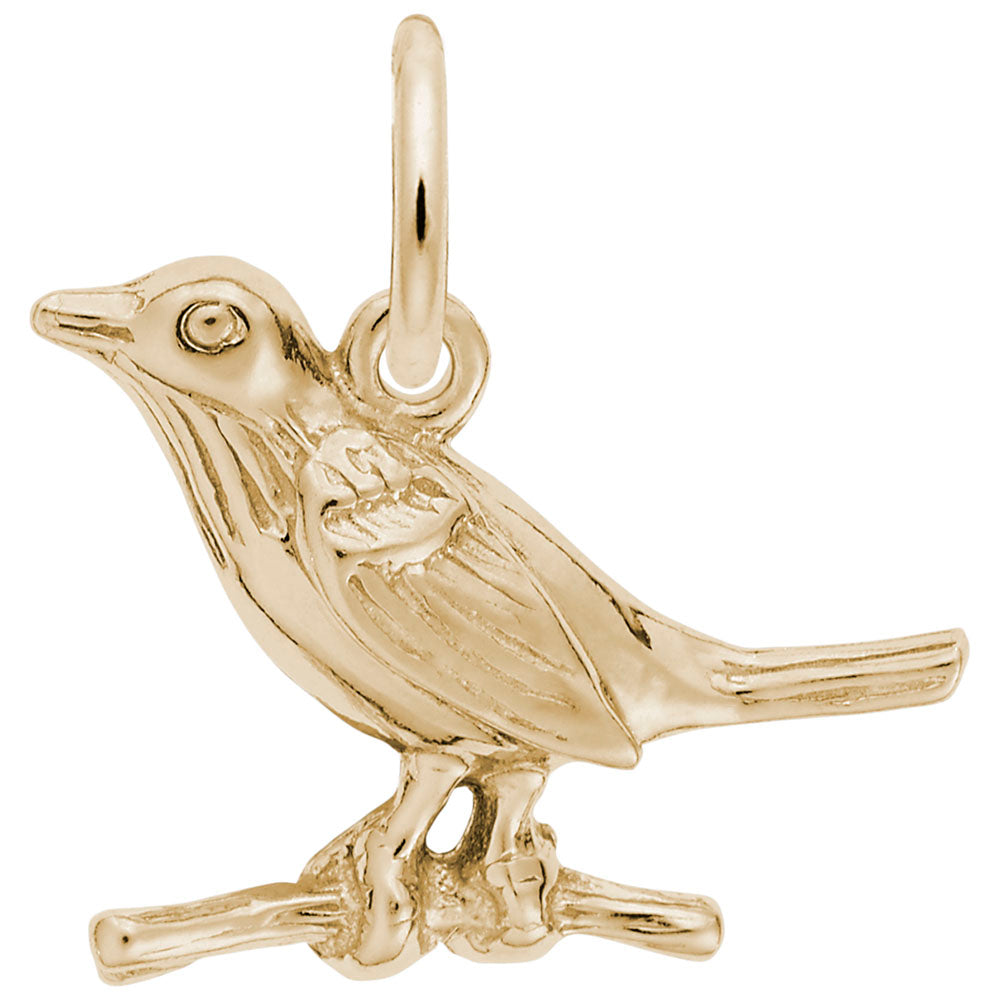 10kt Yellow Gold Robin Charm #3420